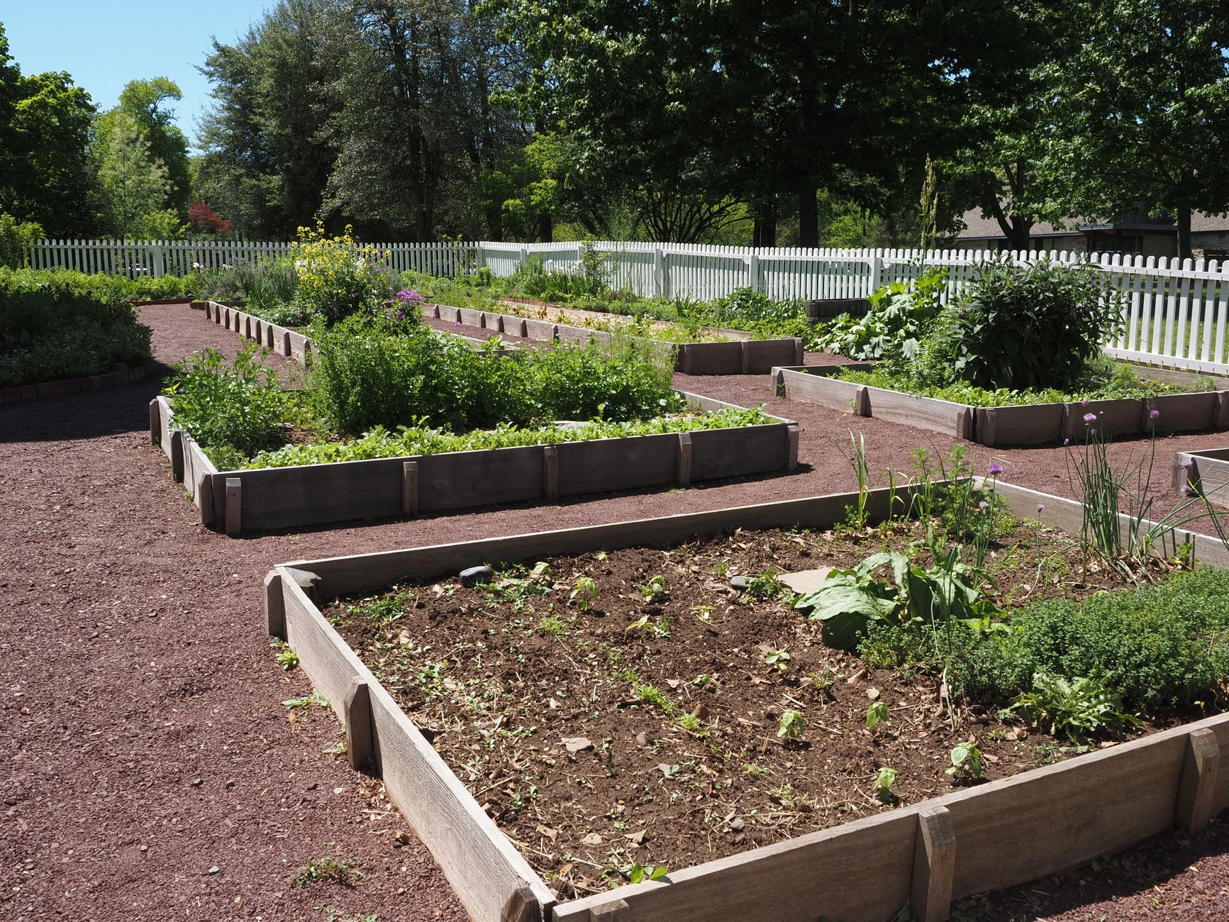 Potager en carres surleves