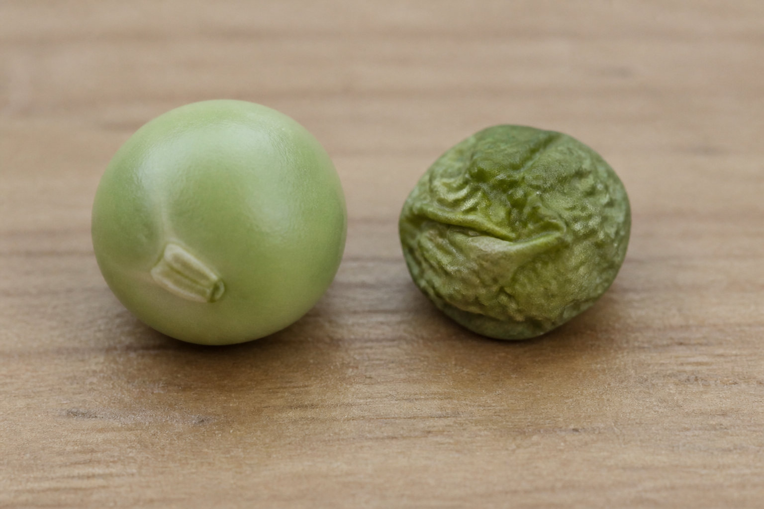 4 critères pour choisir la variété idéale